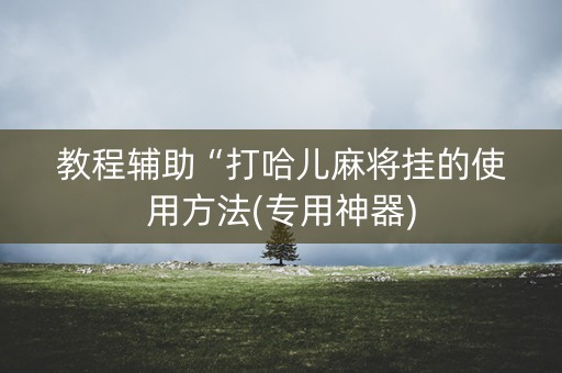 教程辅助“打哈儿麻将挂的使用方法(专用神器)