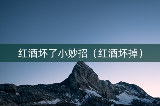 红酒坏了小妙招（红酒坏掉）