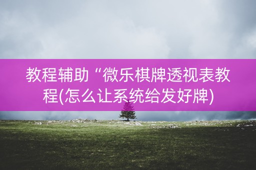 教程辅助“微乐棋牌透视表教程(怎么让系统给发好牌)