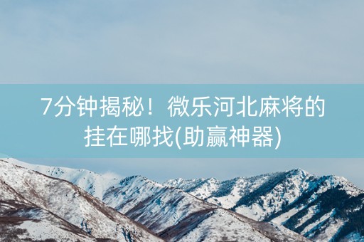 7分钟揭秘！微乐河北麻将的挂在哪找(助赢神器)