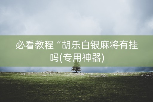 必看教程“胡乐白银麻将有挂吗(专用神器)