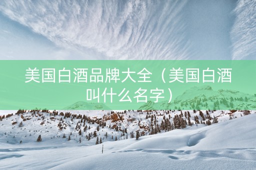 美国白酒品牌大全（美国白酒叫什么名字）