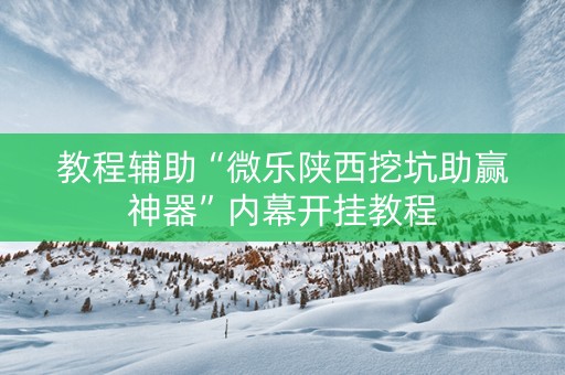 教程辅助“微乐陕西挖坑助赢神器”内幕开挂教程