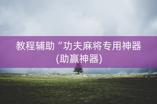 教程辅助“功夫麻将专用神器(助赢神器)