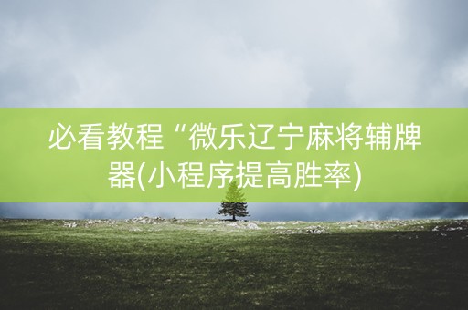 必看教程“微乐辽宁麻将辅牌器(小程序提高胜率)
