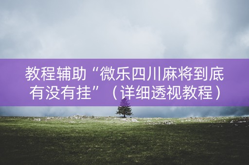 教程辅助“微乐四川麻将到底有没有挂”（详细透视教程）-哔哩哔哩