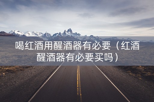 喝红酒用醒酒器有必要（红酒醒酒器有必要买吗）