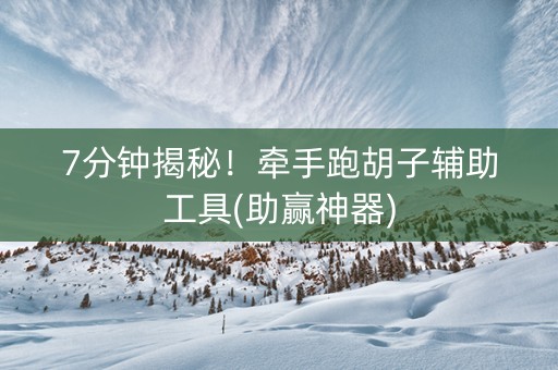 7分钟揭秘！牵手跑胡子辅助工具(助赢神器)