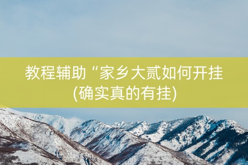 教程辅助“家乡大贰如何开挂(确实真的有挂)