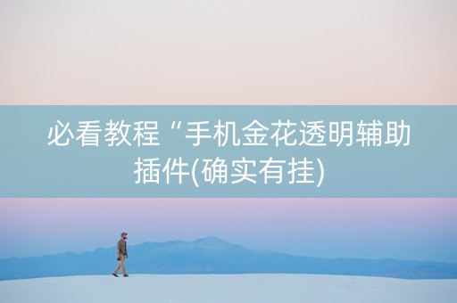 必看教程“手机金花透明辅助插件(确实有挂)