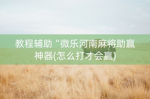 教程辅助“微乐河南麻将助赢神器(怎么打才会赢) 教程辅助“微乐河南麻将助赢神器(怎么打才会赢)