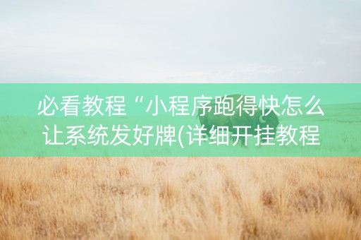 必看教程“小程序跑得快怎么让系统发好牌(详细开挂教程)