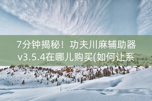 7分钟揭秘！功夫川麻辅助器v3.5.4在哪儿购买(如何让系统发好牌)