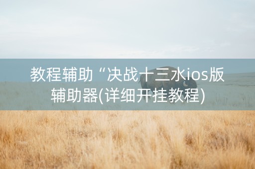 教程辅助“决战十三水ios版辅助器(详细开挂教程)