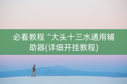 必看教程“大头十三水通用辅助器(详细开挂教程)