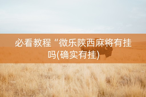 必看教程“微乐陕西麻将有挂吗(确实有挂)