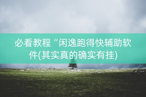 必看教程“闲逸跑得快辅助软件(其实真的确实有挂)