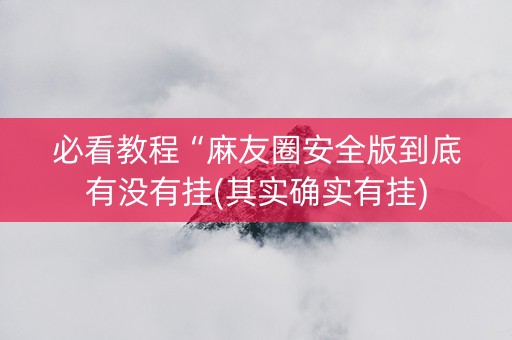 必看教程“麻友圈安全版到底有没有挂(其实确实有挂)