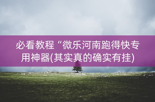 必看教程“微乐河南跑得快专用神器(其实真的确实有挂)