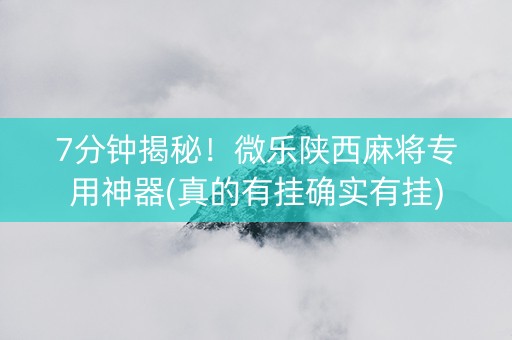 7分钟揭秘！微乐陕西麻将专用神器(真的有挂确实有挂)