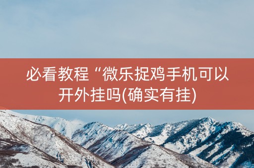 必看教程“微乐捉鸡手机可以开外挂吗(确实有挂)