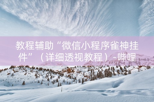 教程辅助“微信小程序雀神挂件”（详细透视教程）-哔哩哔哩