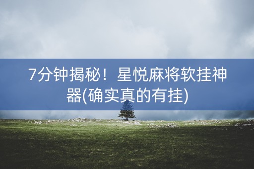 7分钟揭秘！星悦麻将软挂神器(确实真的有挂)