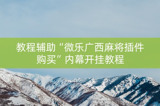 教程辅助“微乐广西麻将插件购买”内幕开挂教程