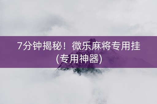 7分钟揭秘！微乐麻将专用挂(专用神器)