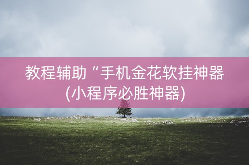 教程辅助“手机金花软挂神器(小程序必胜神器)