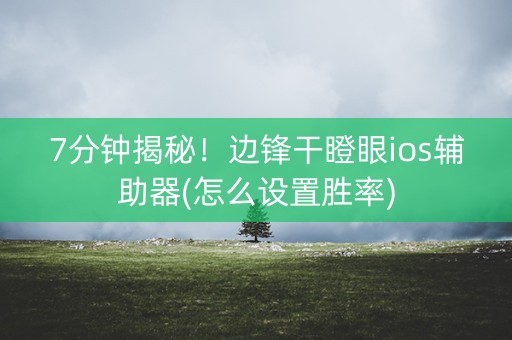 7分钟揭秘！边锋干瞪眼ios辅助器(怎么设置胜率)