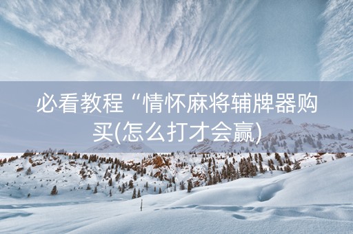 必看教程“情怀麻将辅牌器购买(怎么打才会赢)