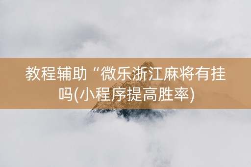 教程辅助“微乐浙江麻将有挂吗(小程序提高胜率)