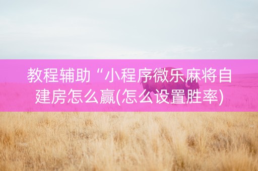 教程辅助“小程序微乐麻将自建房怎么赢(怎么设置胜率)