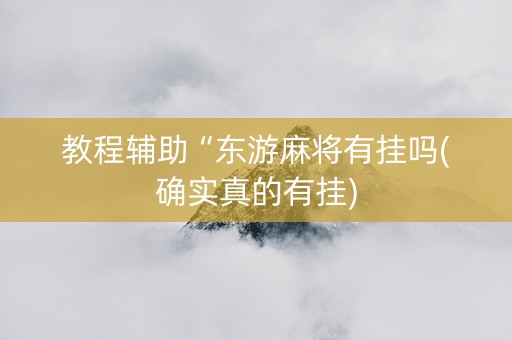 教程辅助“东游麻将有挂吗(确实真的有挂)