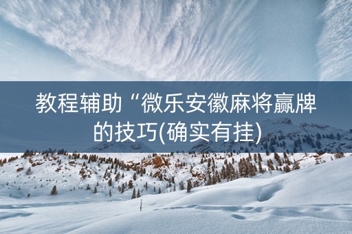 教程辅助“微乐安徽麻将赢牌的技巧(确实有挂)