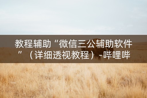 教程辅助“微信三公辅助软件”（详细透视教程）-哔哩哔哩