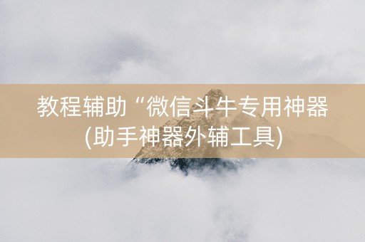 教程辅助“微信斗牛专用神器(助手神器外辅工具)