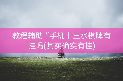 教程辅助“手机十三水棋牌有挂吗(其实确实有挂)
