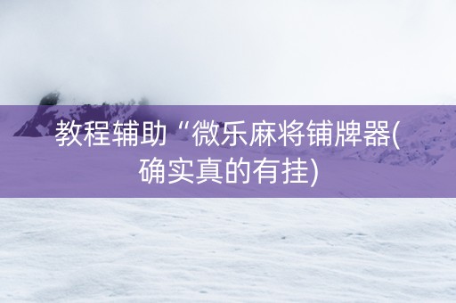 教程辅助“微乐麻将铺牌器(确实真的有挂)