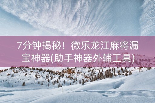 7分钟揭秘！微乐龙江麻将漏宝神器(助手神器外辅工具)