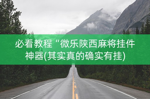 必看教程“微乐陕西麻将挂件神器(其实真的确实有挂)