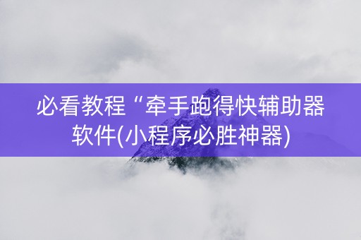 必看教程“牵手跑得快辅助器软件(小程序必胜神器)