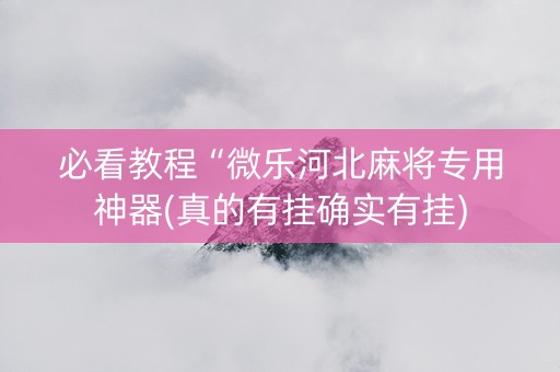必看教程“微乐河北麻将专用神器(真的有挂确实有挂)