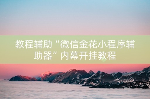 教程辅助“微信金花小程序辅助器”内幕开挂教程
