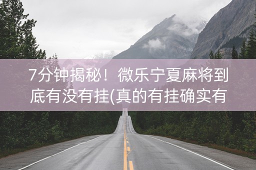 7分钟揭秘！微乐宁夏麻将到底有没有挂(真的有挂确实有挂)
