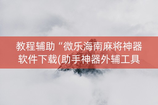 教程辅助“微乐海南麻将神器软件下载(助手神器外辅工具)