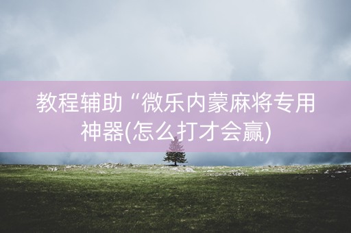 教程辅助“微乐内蒙麻将专用神器(怎么打才会赢) 教程辅助“微乐内蒙麻将专用神器(怎么打才会赢)