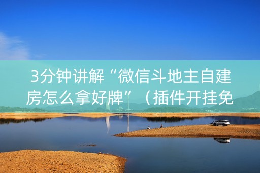 3分钟讲解“微信斗地主自建房怎么拿好牌”（插件开挂免费AI)