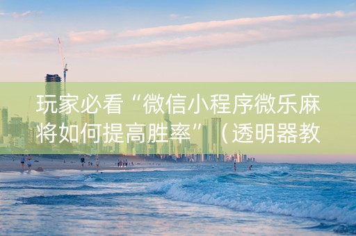 玩家必看“微信小程序微乐麻将如何提高胜率”（透明器教程)